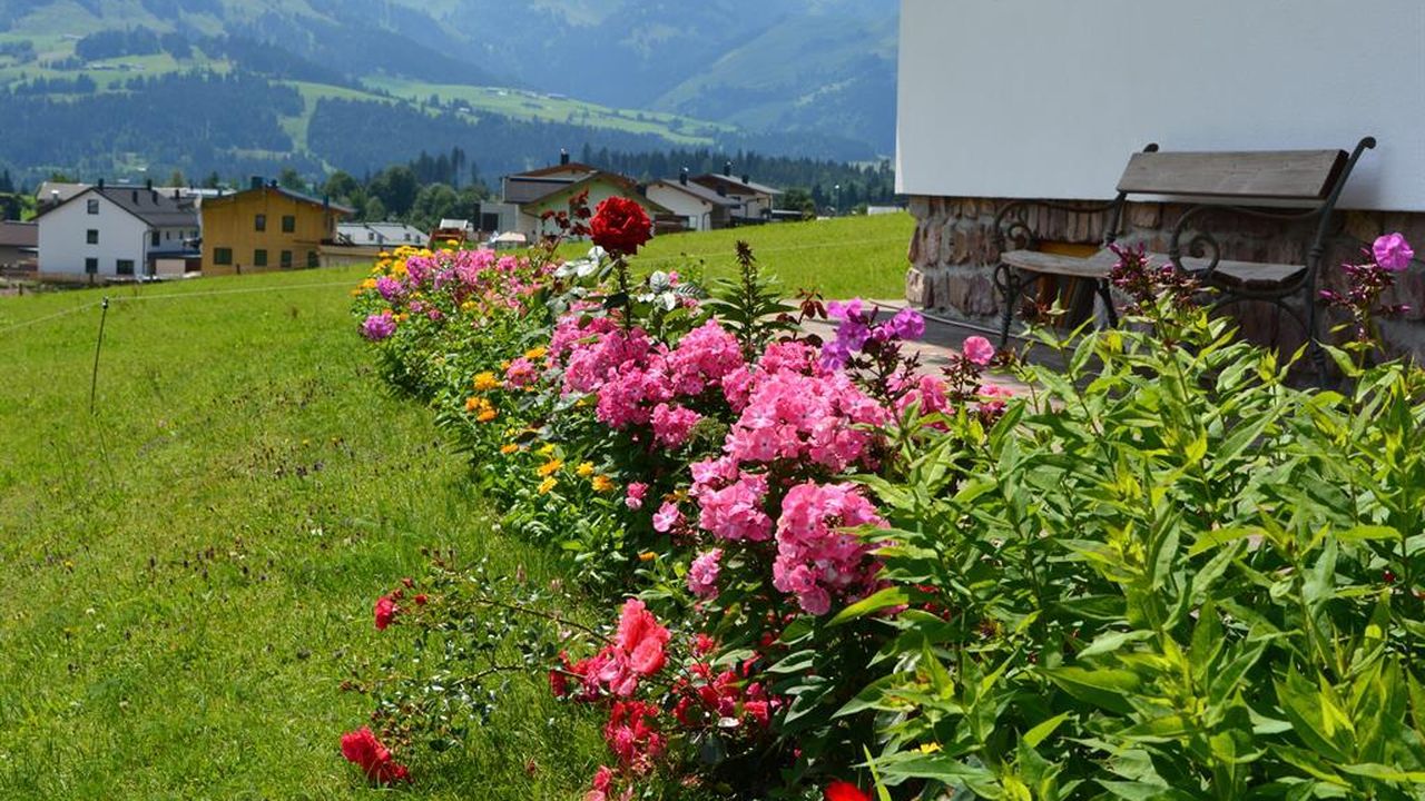 Blumen 2 Blumen 2